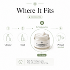 Repair + Restore Night Cream